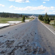 Illustration for article titled Its So Hot In Yellowstone That a Road Literally Melted